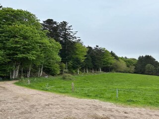 Appartamento Bernau im Schwarzwald Ambiente 20