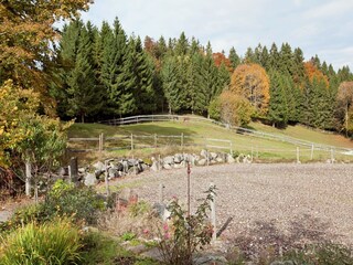 Appartement Dachsberg Omgeving 20