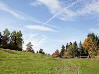 Apartment Dachsberg Environment 17
