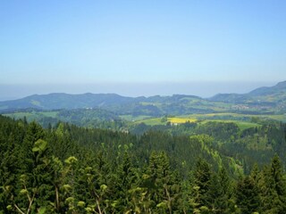 Apartment Dachsberg Environment 19