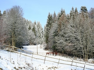 Apartment Dachsberg Environment 18