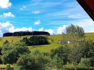 Appartement Dachsberg Omgeving 33