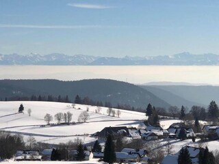 Appartement Dachsberg Environnement 31