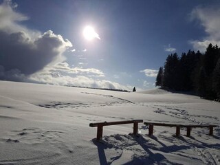 Appartamento Dachsberg Ambiente 35