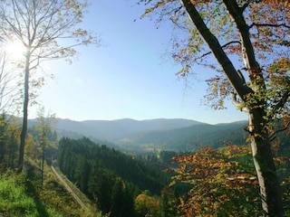 Apartment Dachsberg Umgebung 25