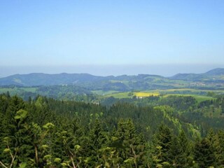 Appartement Dachsberg Environnement 36
