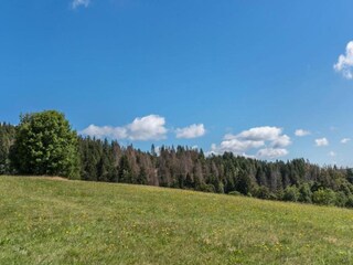 Appartement Dachsberg Environnement 29