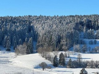 Apartment Dachsberg Environment 35