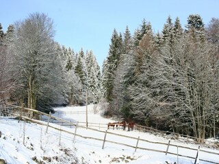 Appartement Dachsberg Omgeving 17