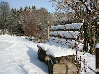 Apartment Dachsberg Environment 20