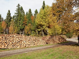 Apartment Dachsberg Umgebung 33