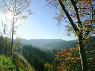 Appartement Dachsberg Environnement 25