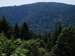 Appartamento Dachsberg Ambiente 31