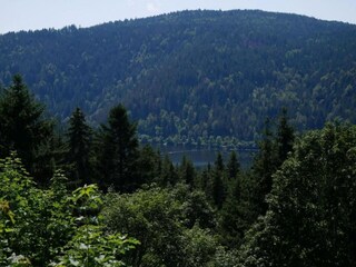 Appartamento Dachsberg Ambiente 26