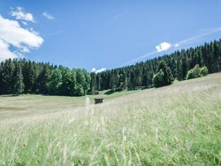 Appartamento Dachsberg Ambiente 31