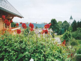 Appartement Dachsberg Enregistrement extérieur 19