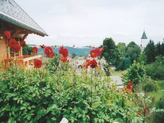 Appartamento Dachsberg Registrazione all'aperto 11