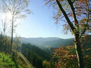 Apartment Dachsberg Environment 32