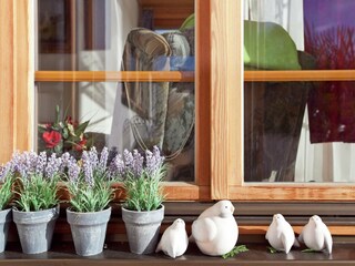 Appartamento Dachsberg  35