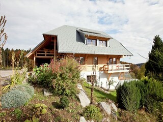 Appartamento Dachsberg  36