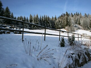 Appartamento Dachsberg Registrazione all'aperto 6
