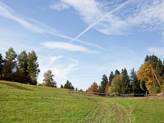 Apartment Dachsberg Environment 35