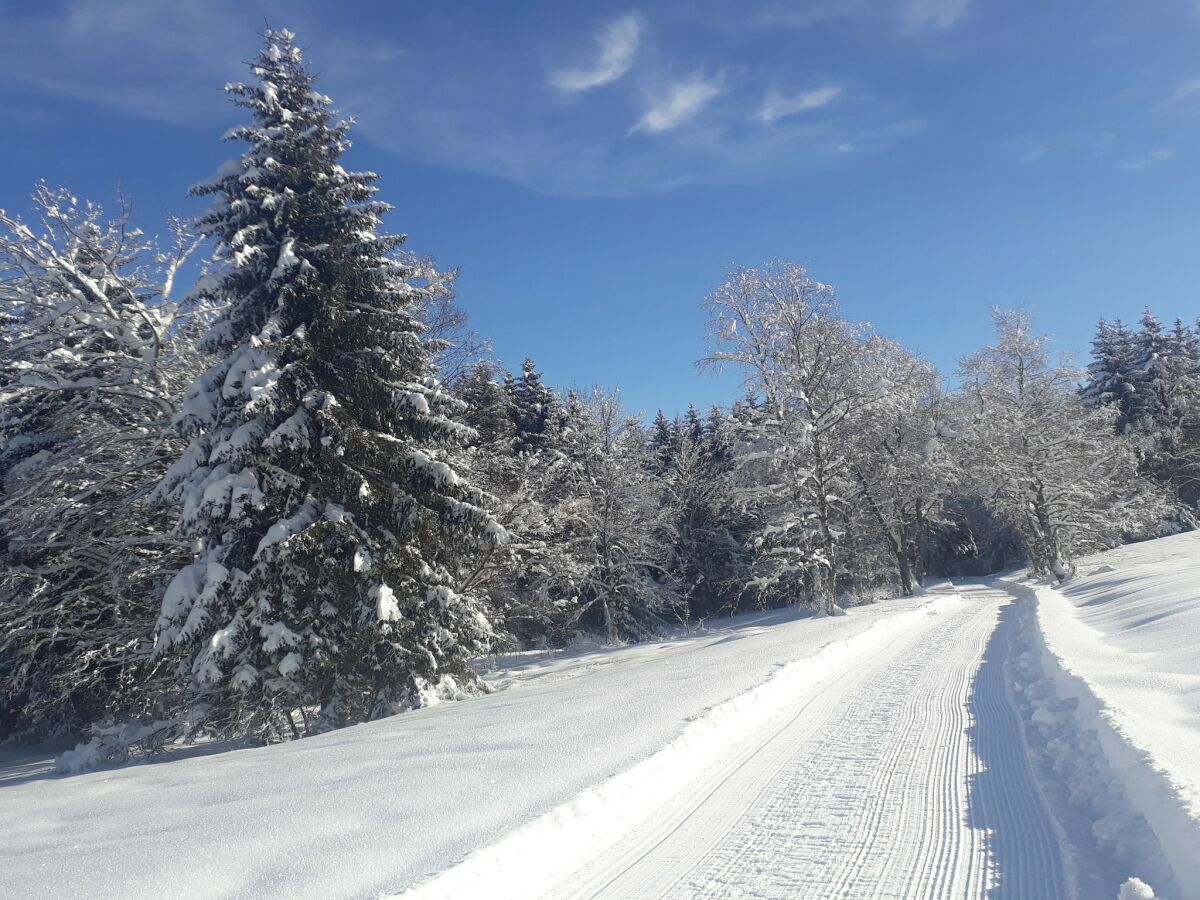 Apartamento Dachsberg Entorno 1