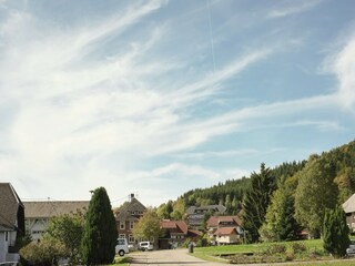 Apartment Dachsberg Umgebung 29