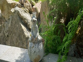 Appartamento Dachsberg Registrazione all'aperto 10