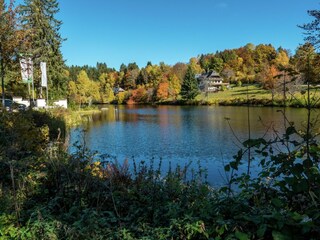 Appartement Dachsberg Omgeving 32