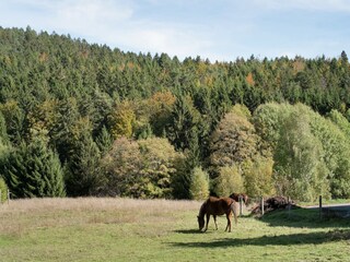 Appartement Dachsberg Environnement 27