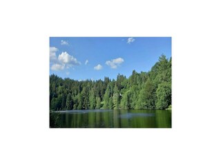 Apartment Dachsberg Environment 32