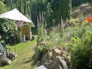 Apartment Dachsberg Outdoor Recording 12