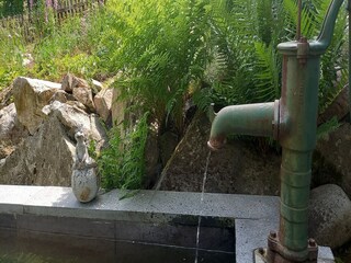 Appartamento Dachsberg Registrazione all'aperto 11