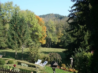 Apartment Dachsberg Outdoor Recording 10