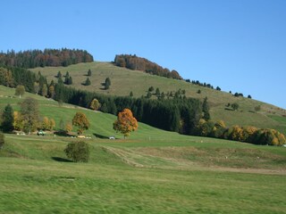 Apartment Dachsberg Environment 30