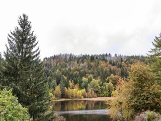 Appartement Dachsberg Omgeving 34