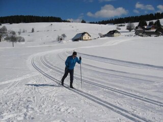 Appartamento Dachsberg Ambiente 26