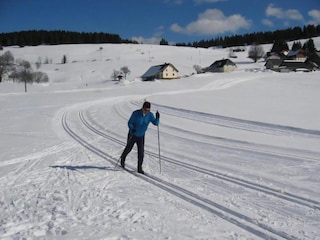 Appartement Dachsberg Omgeving 26