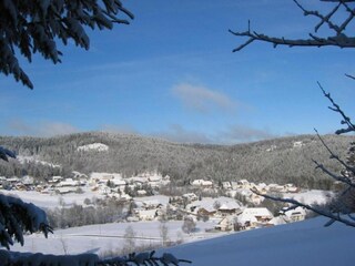Apartamento Dachsberg Entorno 36