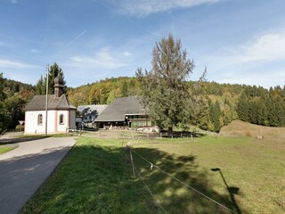 Apartment Dachsberg Umgebung 22