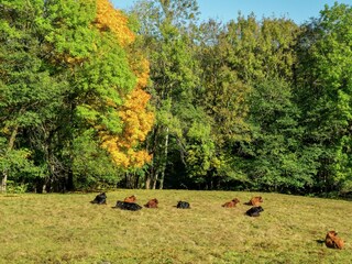 Appartement Dachsberg Enregistrement extérieur 8