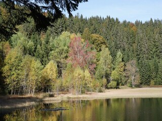 Appartamento Dachsberg Ambiente 21