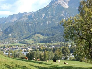 Apartment Dachsberg Umgebung 29