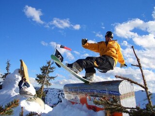 Appartement Dachsberg Omgeving 32