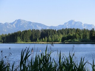 Apartamento Bad Bayersoien Entorno 23