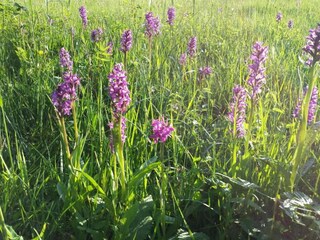 Appartement Bad Bayersoien Omgeving 33