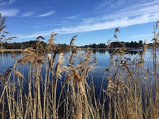 Apartment Bad Bayersoien Umgebung 26