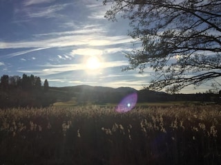 Apartment Bad Bayersoien Umgebung 30