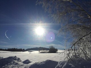 Appartement Bad Bayersoien Environnement 37